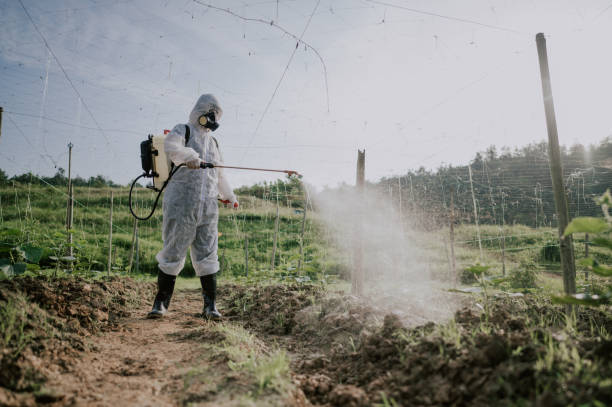 Best Local Pest Control Services  in Auburn, IN