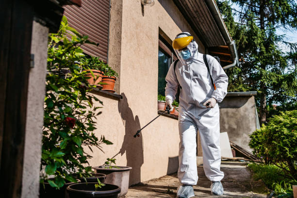 Best Flea Control Services  in Auburn, IN