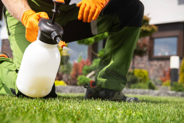 Best Best Pest Control Companies  in Auburn, IN