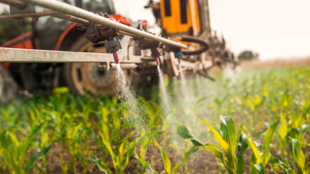 Reliable Auburn, IN Pest Control Solutions